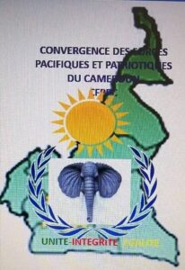 Résumé du projet politique